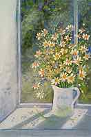 Spring Sunshine