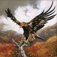 Wild Beauty